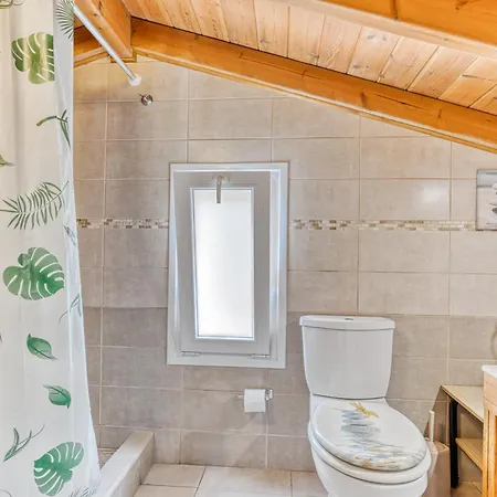 Rovinia 라이아페이즈